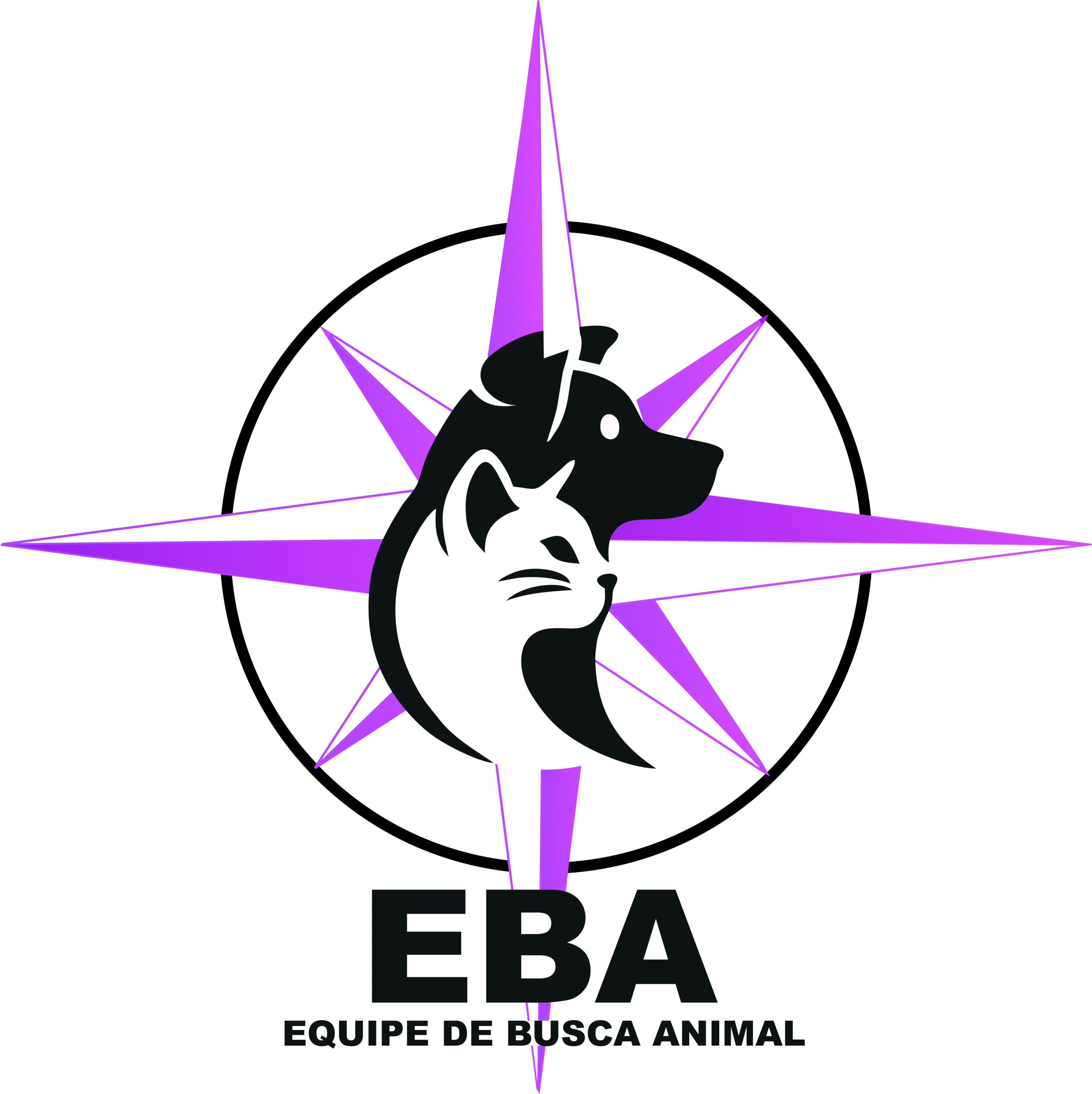 equipedebuscaanimal.com.br