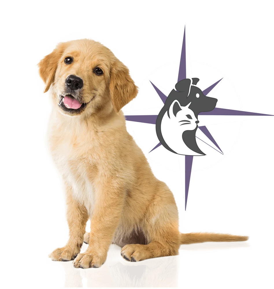 dogandlogo